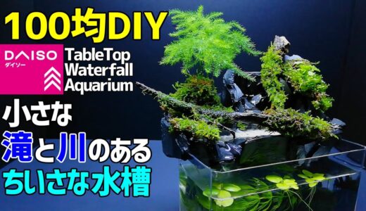 小さな滝と川のある【ちいさな水槽】作り方100均DIY! 苔テラリウム ダイソーアイテムで作成 ～How to Make a Waterfall Fountain/Moss Terrarium～