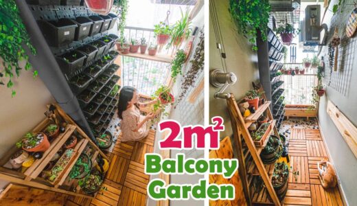 #21 How I Makeover My Tiny Balcony On a Budget (150$) 🌱| DIY Balcony Transformation Ep02