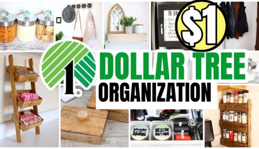 $1 DOLLAR TREE DIY ORGANIZATION HACKS (genius & easy ideas)
