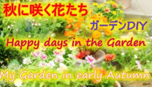 【ガーデニング初心者Vlog】秋の花を鉢植えに　ガーデンDIY　Autumn flowers in pots & Garden DIY
