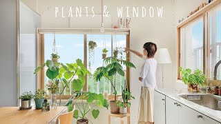 【窓と植物】観葉植物と暮らす家 | ハンギングプランツのDIY
