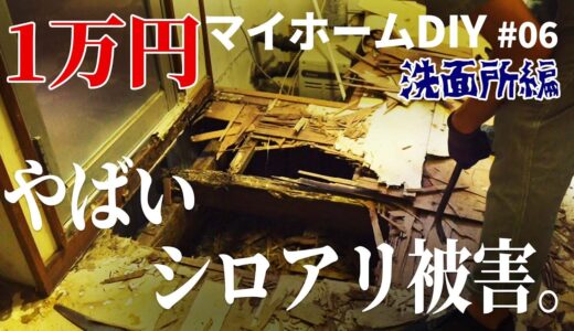 【1万円古民家DIY】絶望、洗面所がシロアリの餌食に。素人がDIYで直す【マイホーム】#06