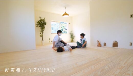 猫と住む家の床を無垢の羽目板にDIY【猫家DIY】#22