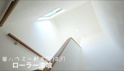ローラーで塗る漆喰で10mの天井を真っ白くしたら新居みたいになった【猫家DIY】 #37