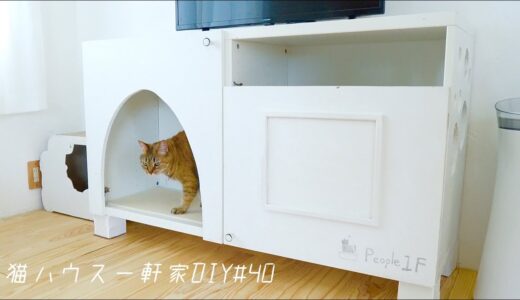 元カノに貰った棚を猫トイレにDIY｜親父と知り合いの事がムカつきます【猫家DIY】 #40
