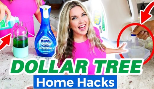 10 Weird But Awesome Dollar Tree Home Hacks!