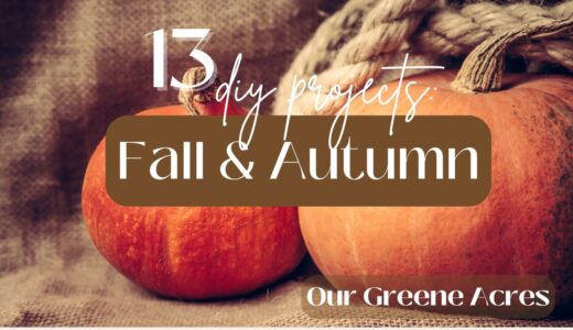 13 WAYS TO DIY FALL HOME DECOR USING THRIFTED FINDS