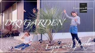 【ドライガーデン】マイホーム　庭　ココスヤシ地植えしてみた！！　DIYガーデニング　ロックガーデン　vlog