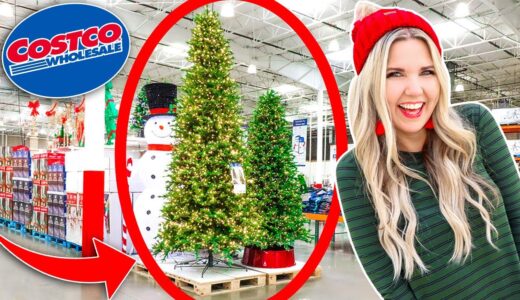 10 Must Buys at Costco for Christmas!!