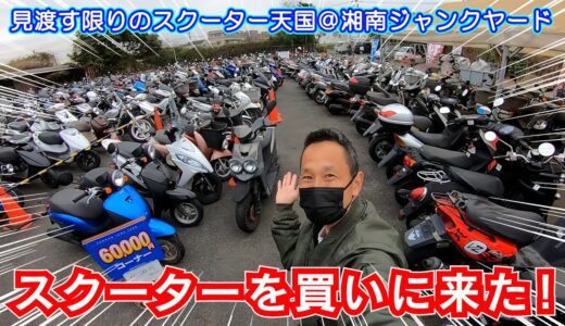 【中古スクーター天国】 湘南ジャンクヤードで「勉強になりそうな」バイクを買いにきました！