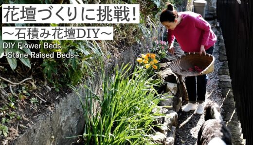花壇づくりに挑戦！〜石積み花壇DIY〜 DIY Flower Beds~Stone Raised Beds~