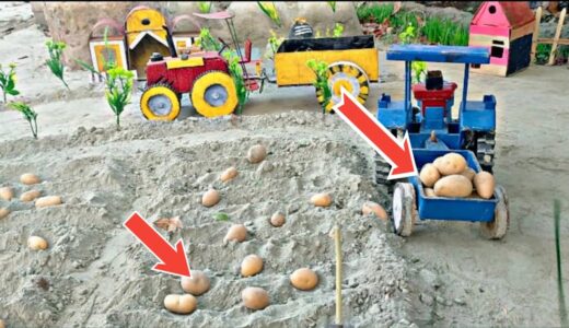 आलू की खेती | diy mini potato agriculture kheti | potato agriculture farming #minitractor