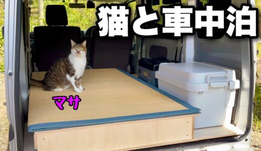 【猫と軽バン車中泊】DIYで製作中のベッドキットで初めての車中泊｜材料費4,000円でキャンピングカー気分｜凶暴猫のマサもお楽しみ下さい。
