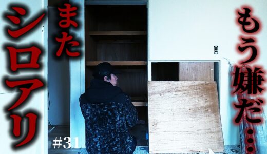 【またか…】シロアリ被害に絶望、素人が1万円で買ったキッチンをDIY。 #31