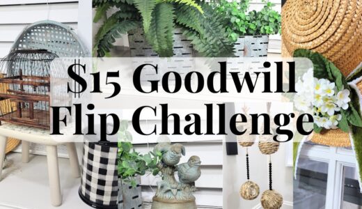 15 Minute $15 Goodwill Bins DIY Challenge